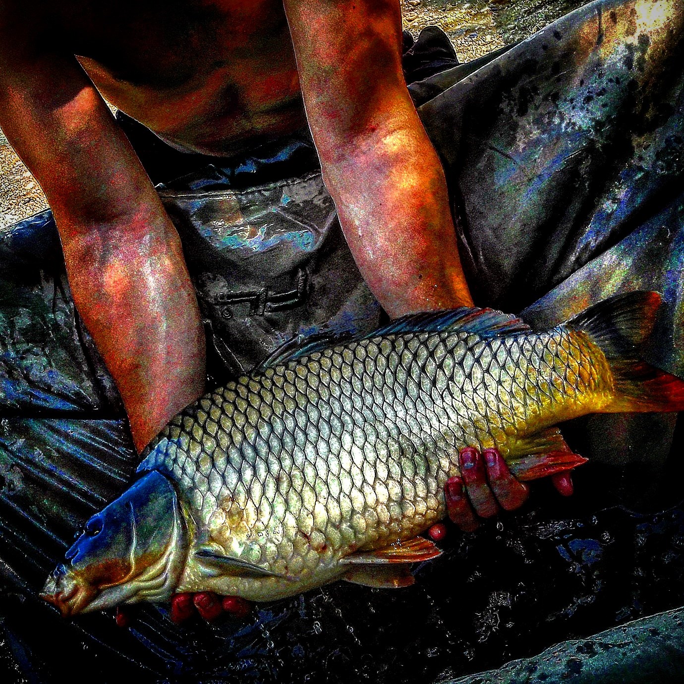 Balata LAZAR Alexandria  8 - 10 august 2020 - inbound2093859872.jpg